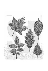 STAMPERS ANONYMOUS STAMPERS ANONYMOUS TIM HOLTZ SKETCHY LEAVES 7x8.5 CLING STAMP SET