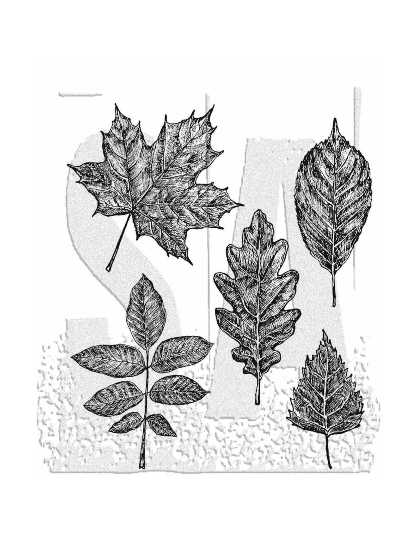 STAMPERS ANONYMOUS STAMPERS ANONYMOUS TIM HOLTZ SKETCHY LEAVES 7x8.5 CLING STAMP SET