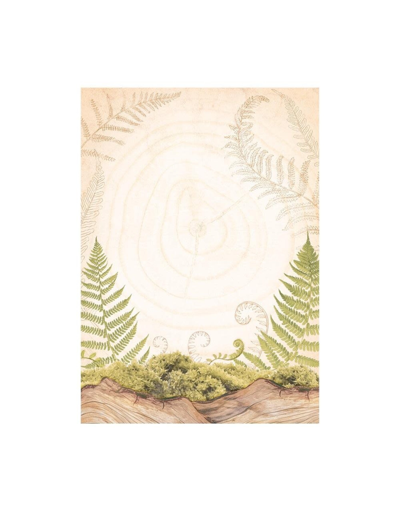 STAMPERIA STAMPERIA WOODLAND ASSORTED A6 RICE PAPER DECOUPAGE BACKGROUNDS 10.5X14.8CM 8/PK