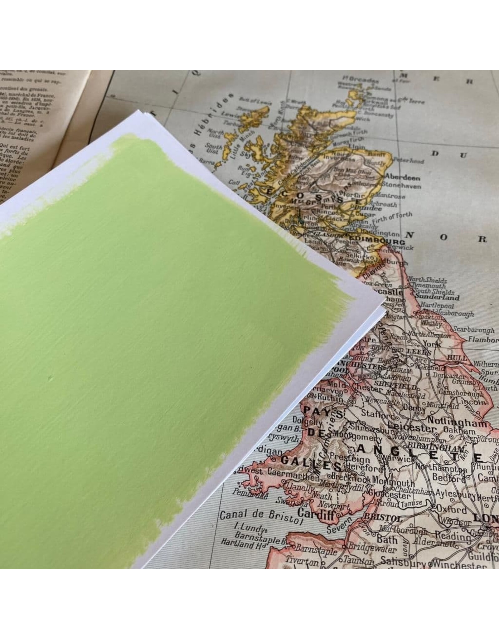 PAPER ARTSY PAPER ARTSY FRESCO FINISH TS-PARAKEET ACRYLIC PAINT 50ML