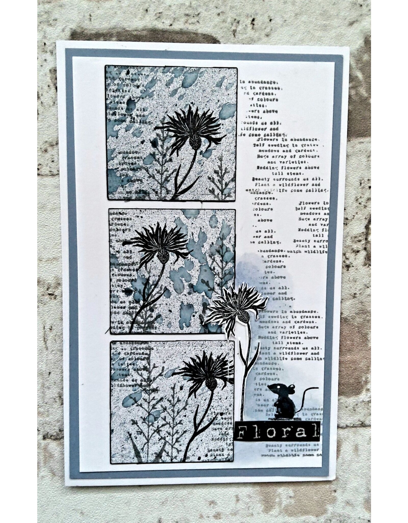 AALL & CREATE AALL & CREATE TRACY EVANS #1065 CORNFLOWER A7 CLEAR STAMP SET