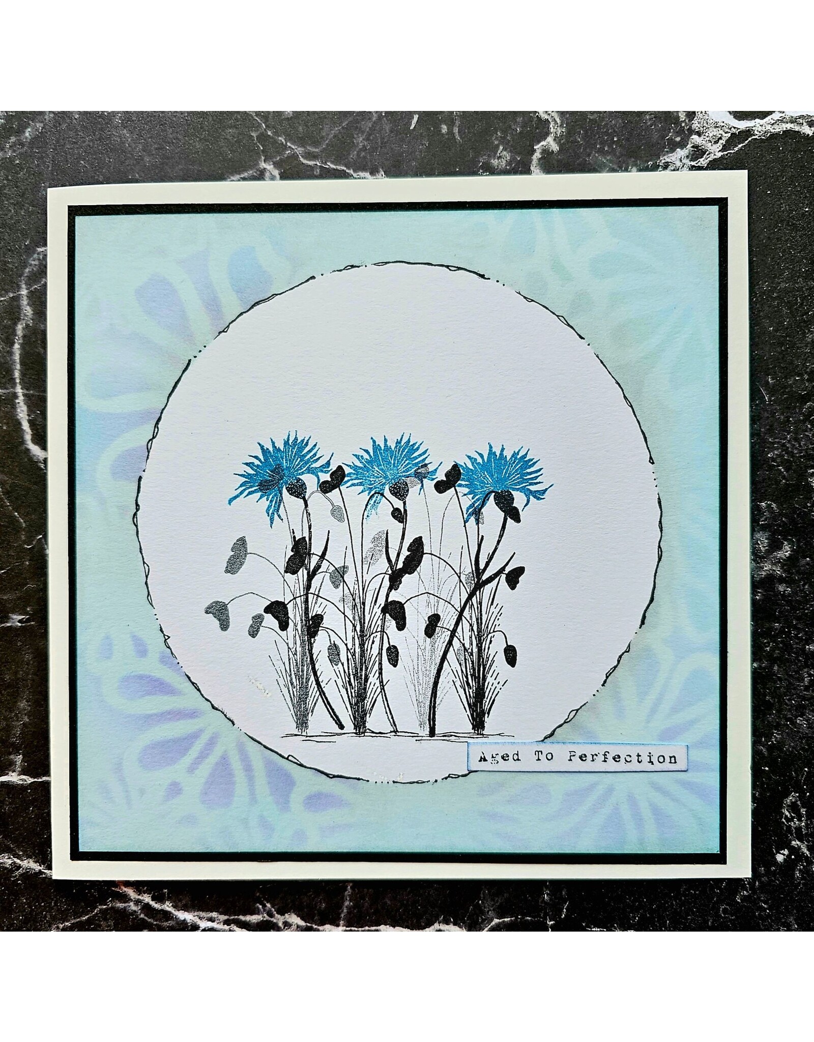AALL & CREATE AALL & CREATE TRACY EVANS #1066 MEANDER THROUGH BEAUTY A7 CLEAR STAMP SET