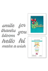 SPELLBINDERS SPELLBINDERS FRESH PICKED SENTIMENTS DIE SET