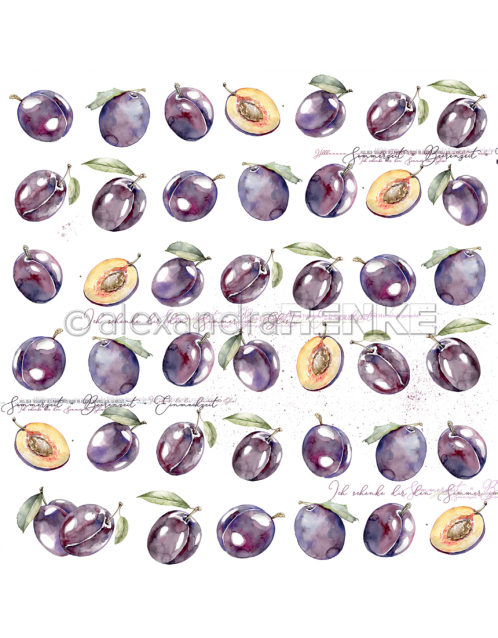 ALEXANDRA RENKE ALEXANDRA RENKE PAPER 12X12 PLUM