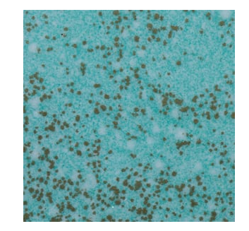 WOW! WOW! MARTINA MANGER BLUE AVENTURINE EMBOSSING POWDER 0.5OZ