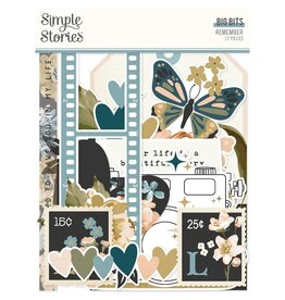 SIMPLE STORIES SIMPLE STORIES REMEMBER BIG BITS 17/PK