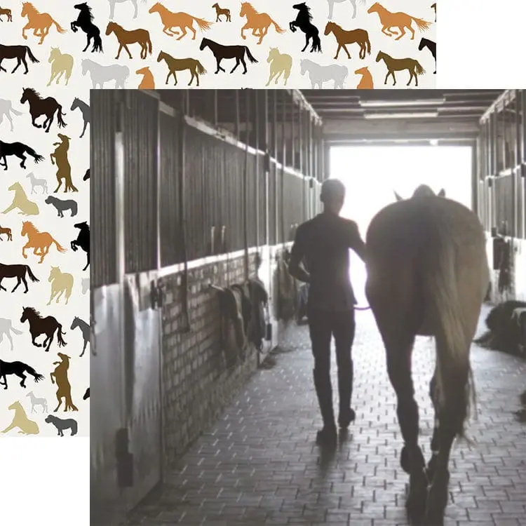 PAPER HOUSE PRODUCTIONS PAPER HOUSE MORNING AT THE STABLES 12x12 CARDSTOCK