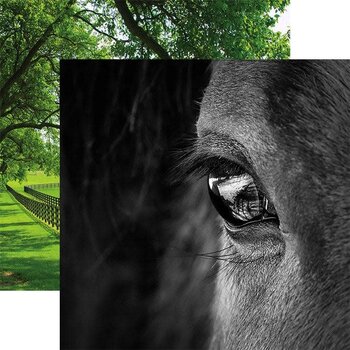 PAPER HOUSE PRODUCTIONS PAPER HOUSE HORSE FACE 12x12 CARDSTOCK