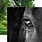 PAPER HOUSE PRODUCTIONS PAPER HOUSE HORSE FACE 12x12 CARDSTOCK