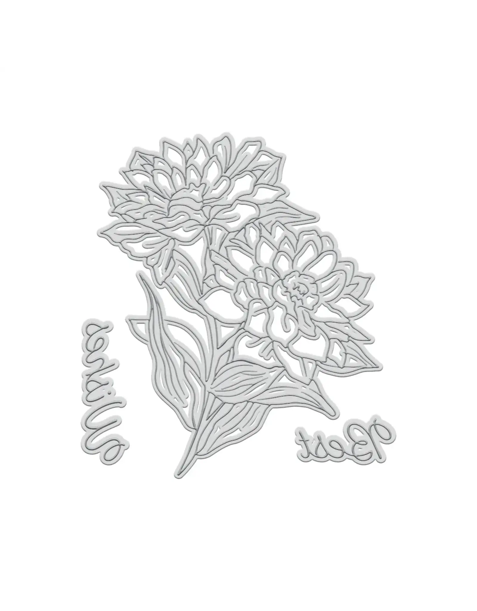 COUTURE CREATIONS COUTURE CREATIONS GARDEN OF EDEN COLLECTION BEST WISHES FLORAL LETTERPRESS PLATE