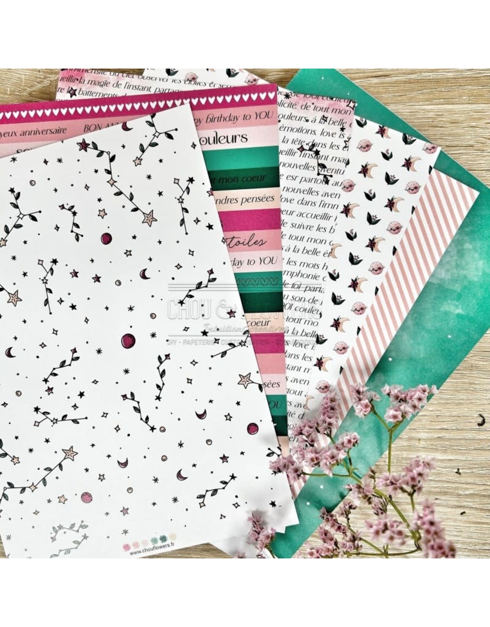 CHOU & FLOWERS CHOU & FLOWERS HORS-SÉRIE DOUDOULAND LES ASTROS COLLECTION A5 PAPETERIE CRÉATIVE COLLECTION PACK