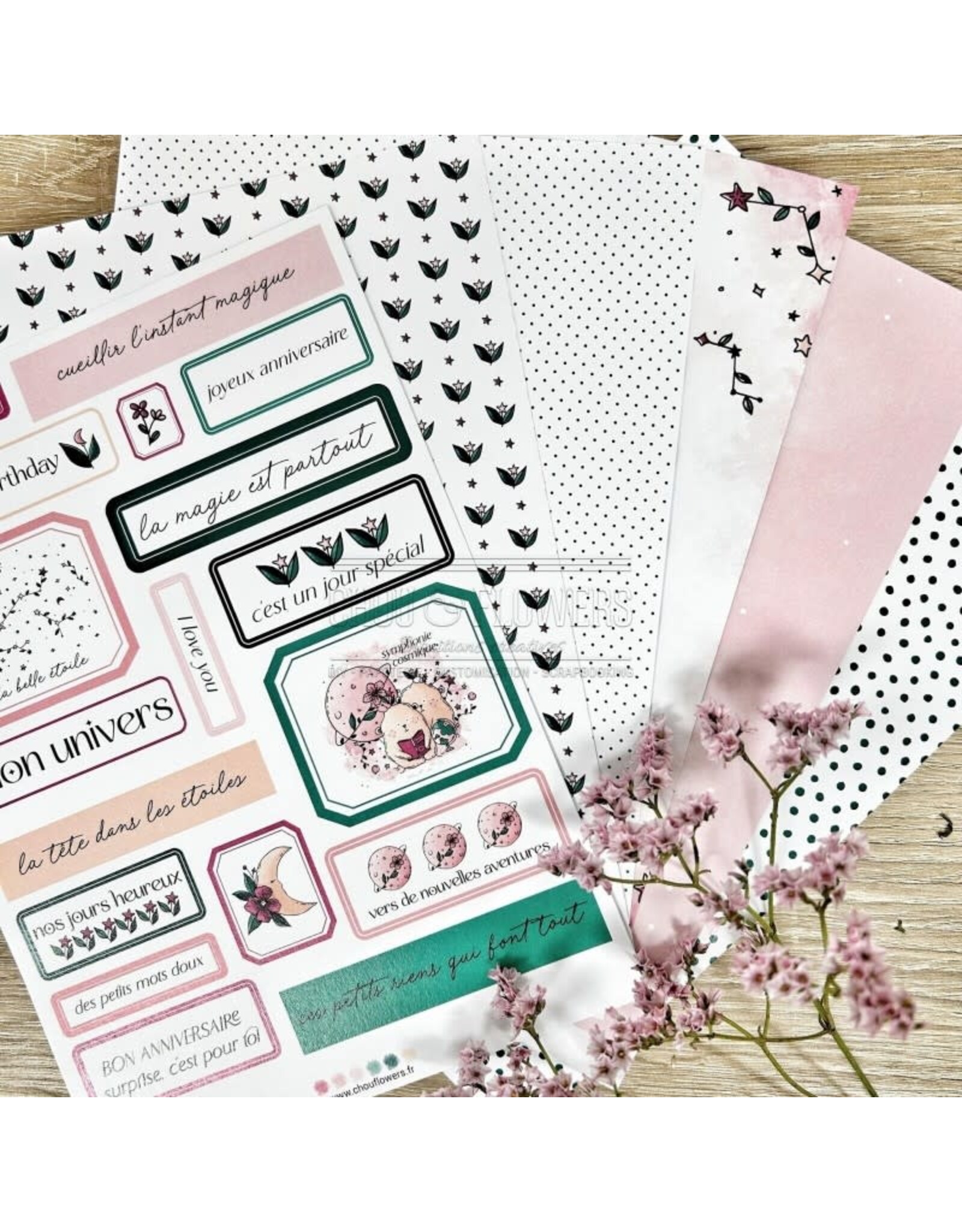 CHOU & FLOWERS CHOU & FLOWERS HORS-SÉRIE DOUDOULAND LES ASTROS COLLECTION A5 PAPETERIE CRÉATIVE COLLECTION PACK