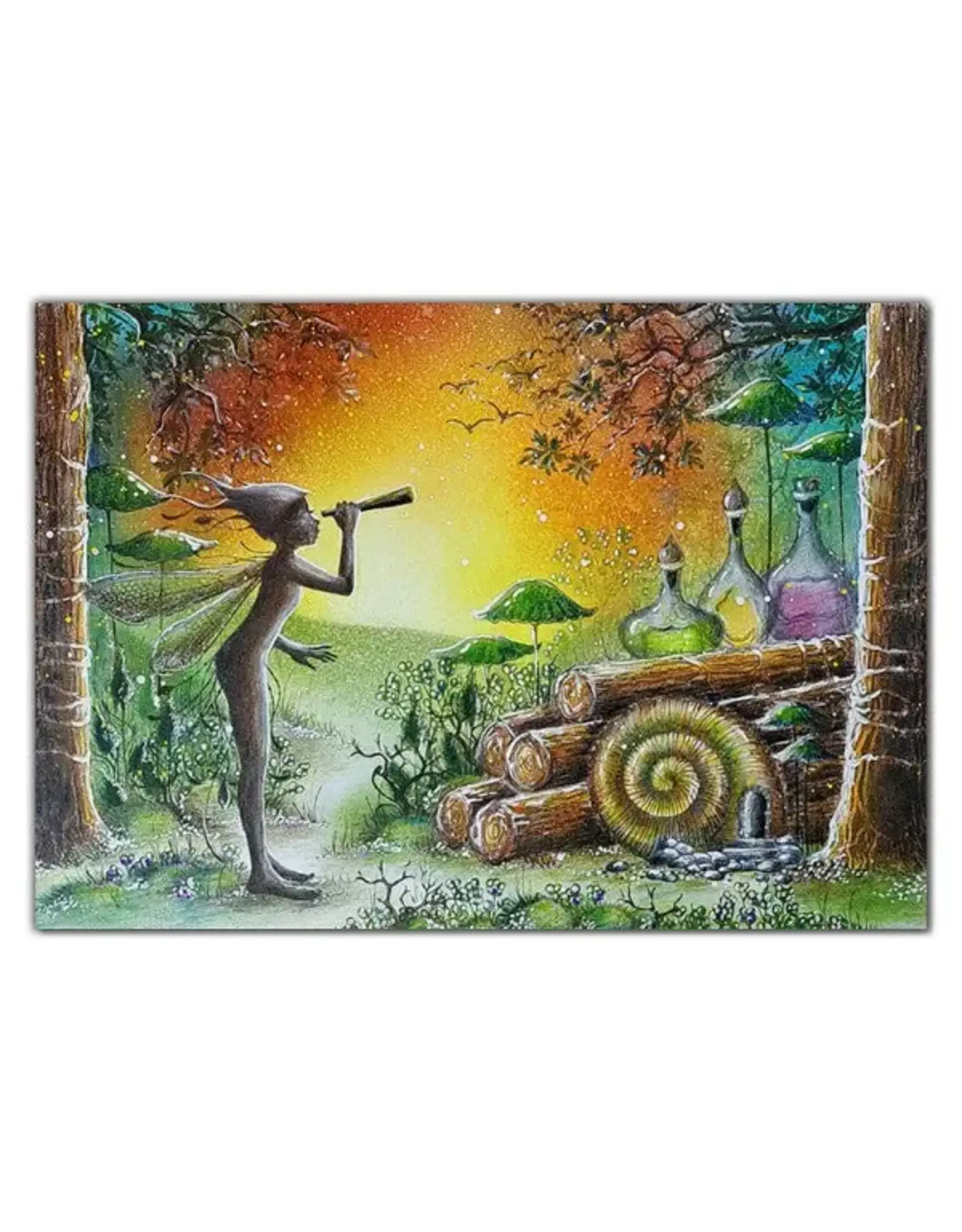 LAVINIA STAMPS LAVINIA SCOUT LARGE CLEAR STAMP