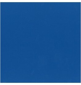 MY COLORS MY COLORS CLASSIC 80 LB COVER WEIGHT BLUEBERRY 12x12 CARDSTOCK
