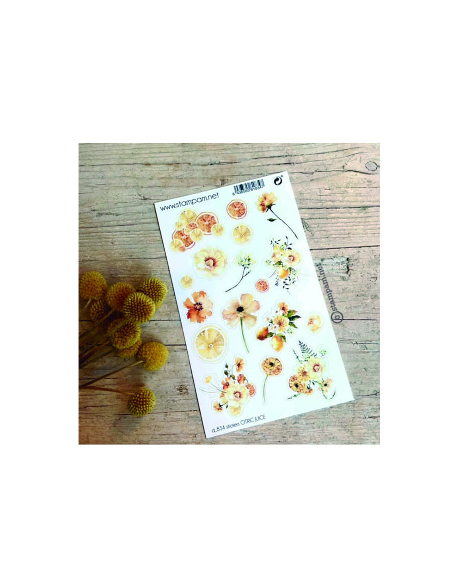 STAMPAM CITRIC JUICE DIE-CUT STICKERS