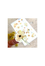 STAMPAM CITRIC JUICE DIE-CUT STICKERS