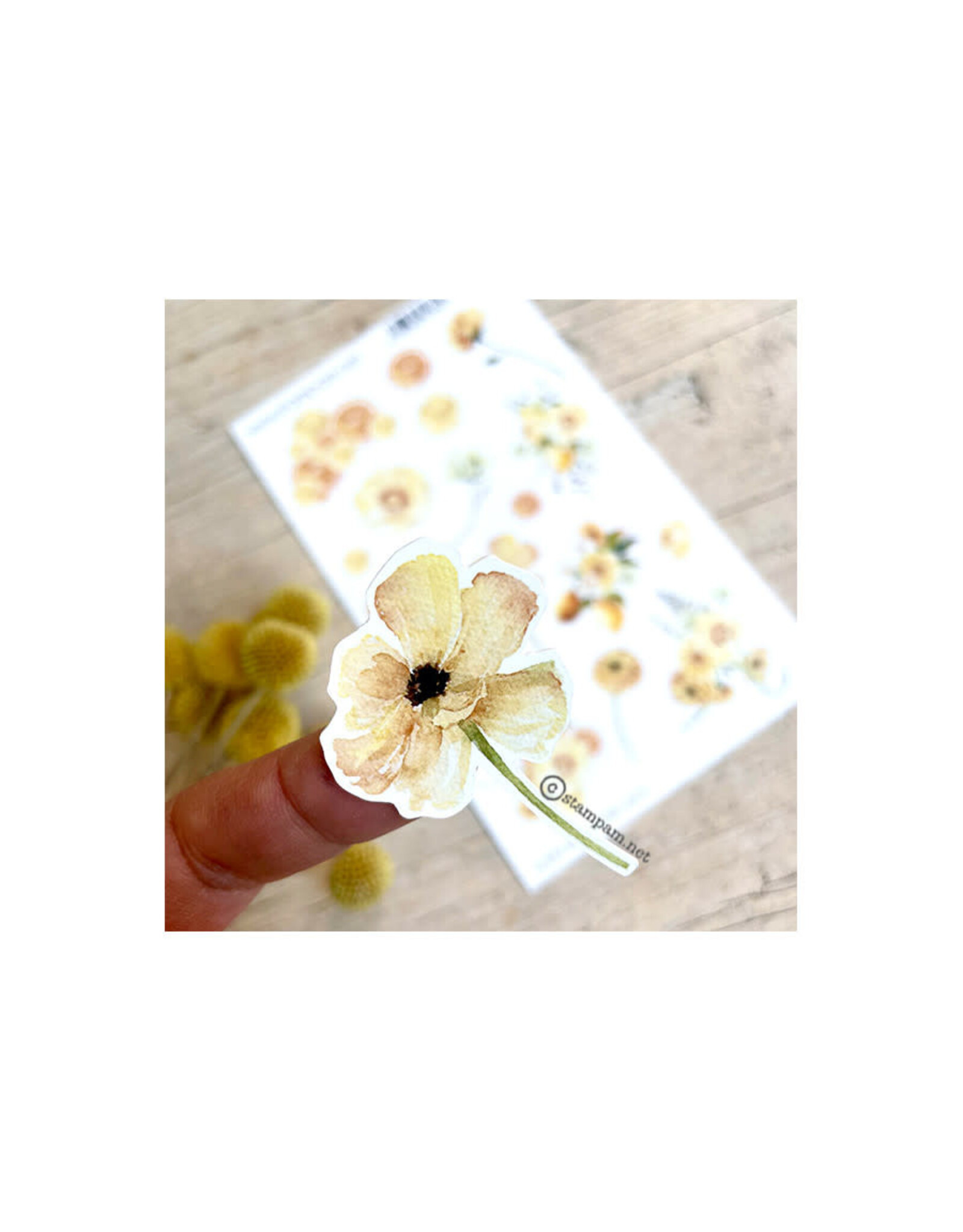 STAMPAM CITRIC JUICE DIE-CUT STICKERS