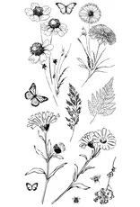 LDRS CREATIVE LDRS CREATIVE TIMELESS WILDFLOWERS CLEAR STAMP SET