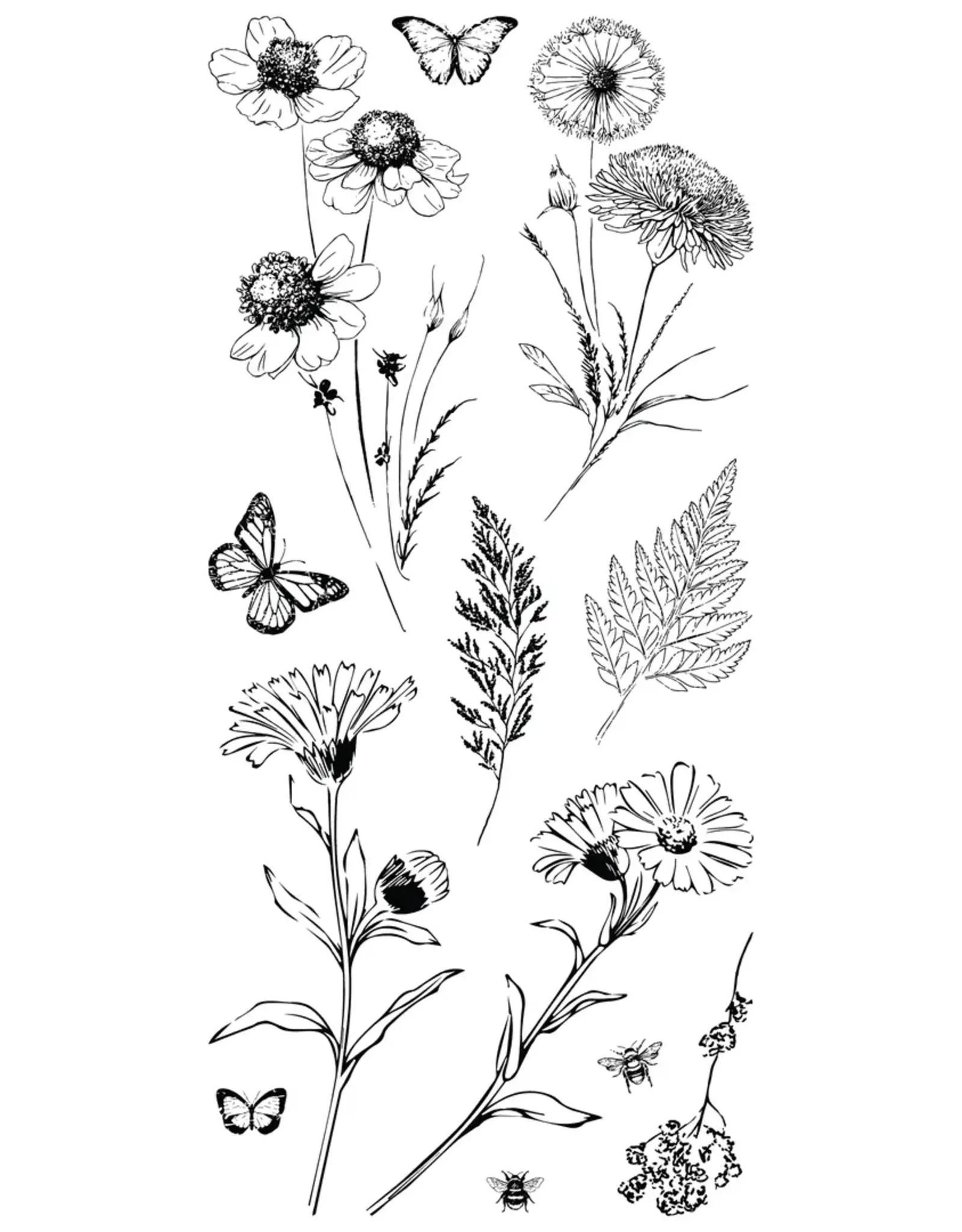 LDRS CREATIVE LDRS CREATIVE TIMELESS WILDFLOWERS CLEAR STAMP SET