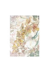 STAMPERIA STAMPERIA ORCHIDS AND CATS ASSORTED A6 RICE PAPER DECOUPAGE BACKGROUNDS 10.5X14.8CM 8/PK