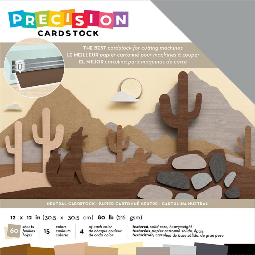 AMERICAN CRAFTS AMERICAN CRAFTS PRECISION NEUTRAL/TEXTURED CARDSTOCK 12X12 60PK