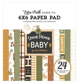 ECHO PARK PAPER ECHO PARK LORI WHITLOCK SPECIAL DELIVERY: BABY 6x6 PAPER PAD