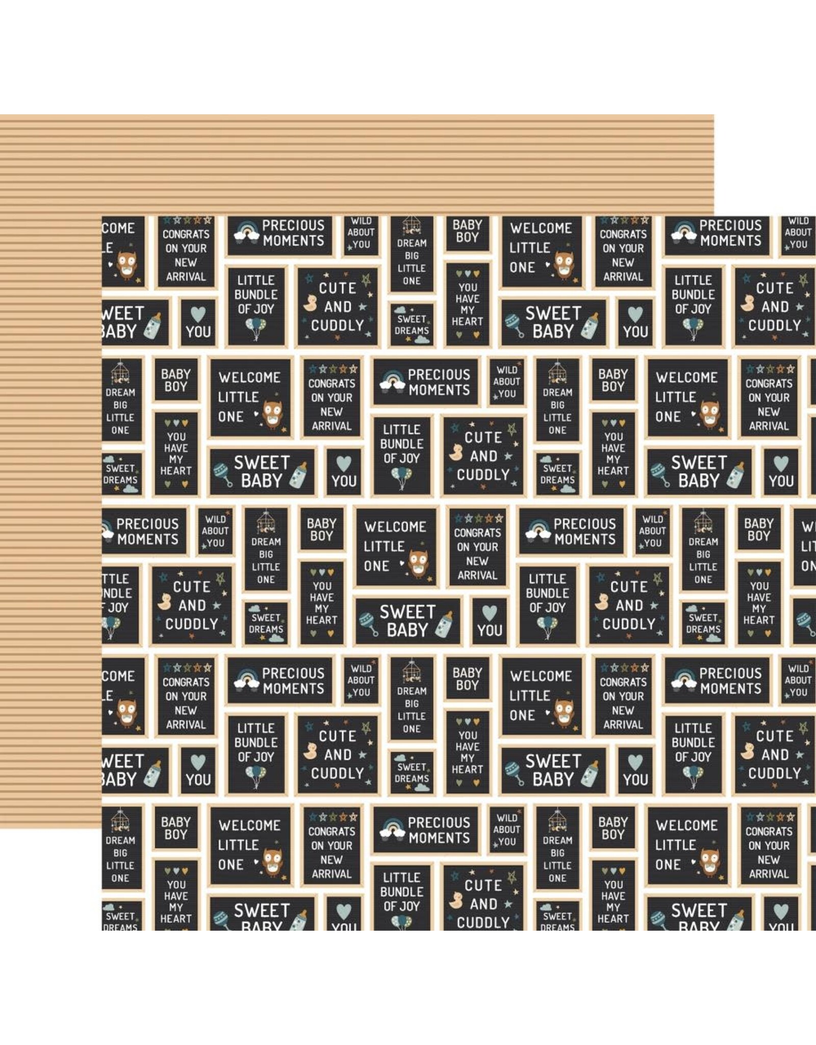 ECHO PARK PAPER ECHO PARK LORI WHITLOCK SPECIAL DELIVERY: BABY BOY BABY BOY SIGNS 12x12 CARDSTOCK