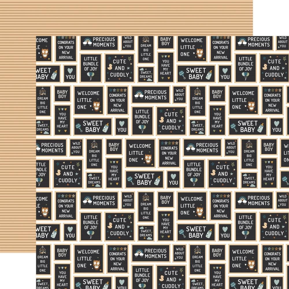 ECHO PARK PAPER ECHO PARK LORI WHITLOCK SPECIAL DELIVERY: BABY BOY BABY BOY SIGNS 12x12 CARDSTOCK