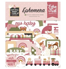 ECHO PARK PAPER ECHO PARK LORI WHITLOCK SPECIAL DELIVERY: BABY GIRL EPHEMERA 33/PK