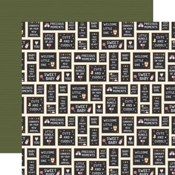 ECHO PARK PAPER ECHO PARK LORI WHITLOCK SPECIAL DELIVERY: BABY GIRL BABY GIRL SIGNS 12x12 CARDSTOCK