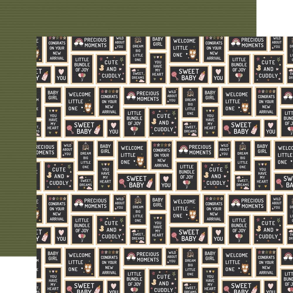 ECHO PARK PAPER ECHO PARK LORI WHITLOCK SPECIAL DELIVERY: BABY GIRL BABY GIRL SIGNS 12x12 CARDSTOCK