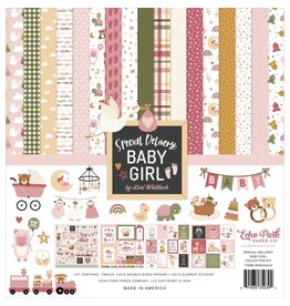 ECHO PARK PAPER ECHO PARK LORI WHITLOCK SPECIAL DELIVERY: BABY GIRL 12x12 COLLECTION KIT