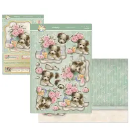 HUNKYDORY CRAFTS LTD. HUNKYDORY HELLO SPRING PAWS FOR THOUGHT DECO-LARGE SET