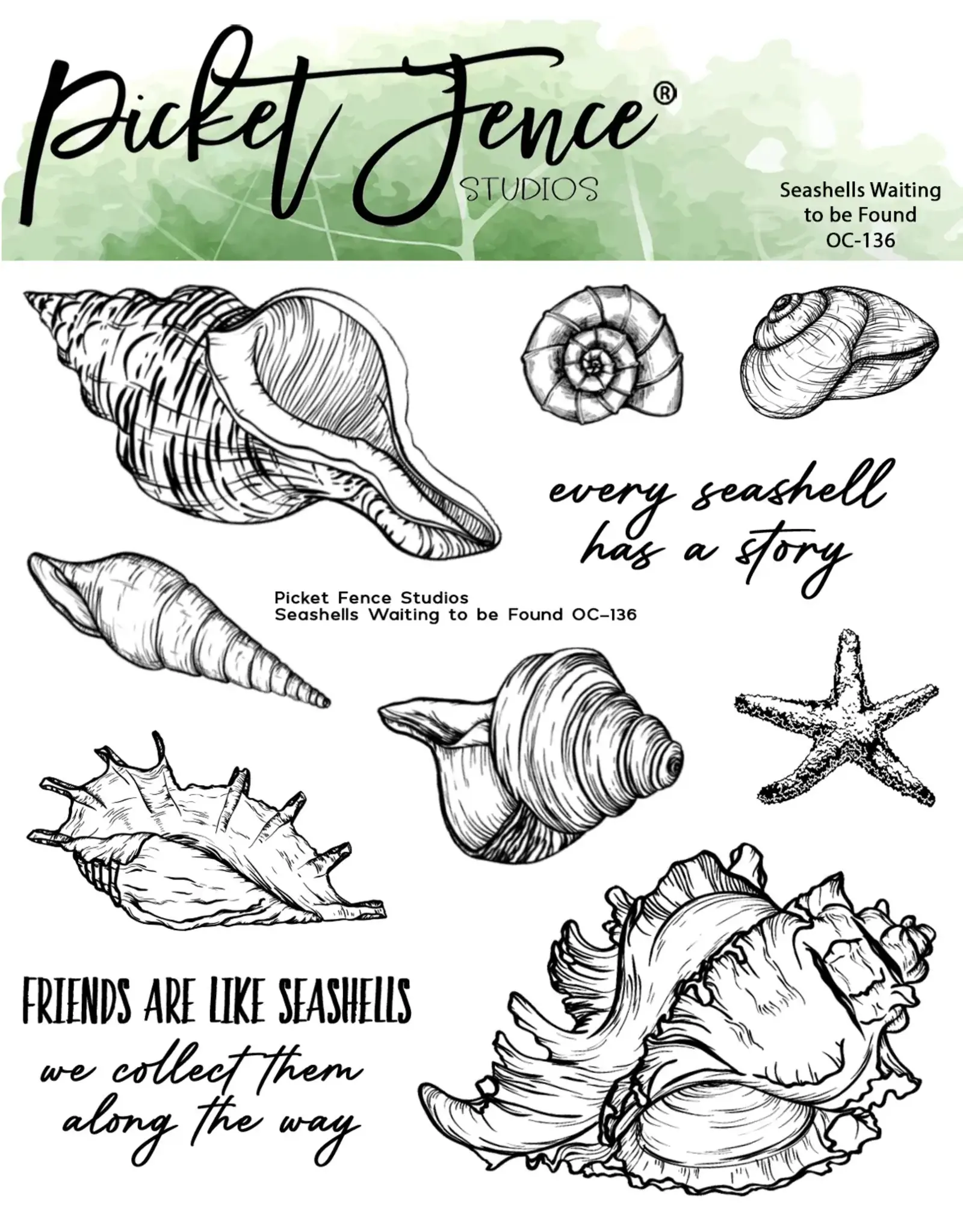 PICKET FENCE PICKET FENCE STUDIOS SEASHELLS WAITING TO BE FOUND CLEAR STAMP SET