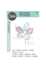 SIZZIX SIZZIX 49 AND MARKET PAINTED PENCIL LEAVES FRAMELITS DIE AND A5 CLEAR STAMP SET