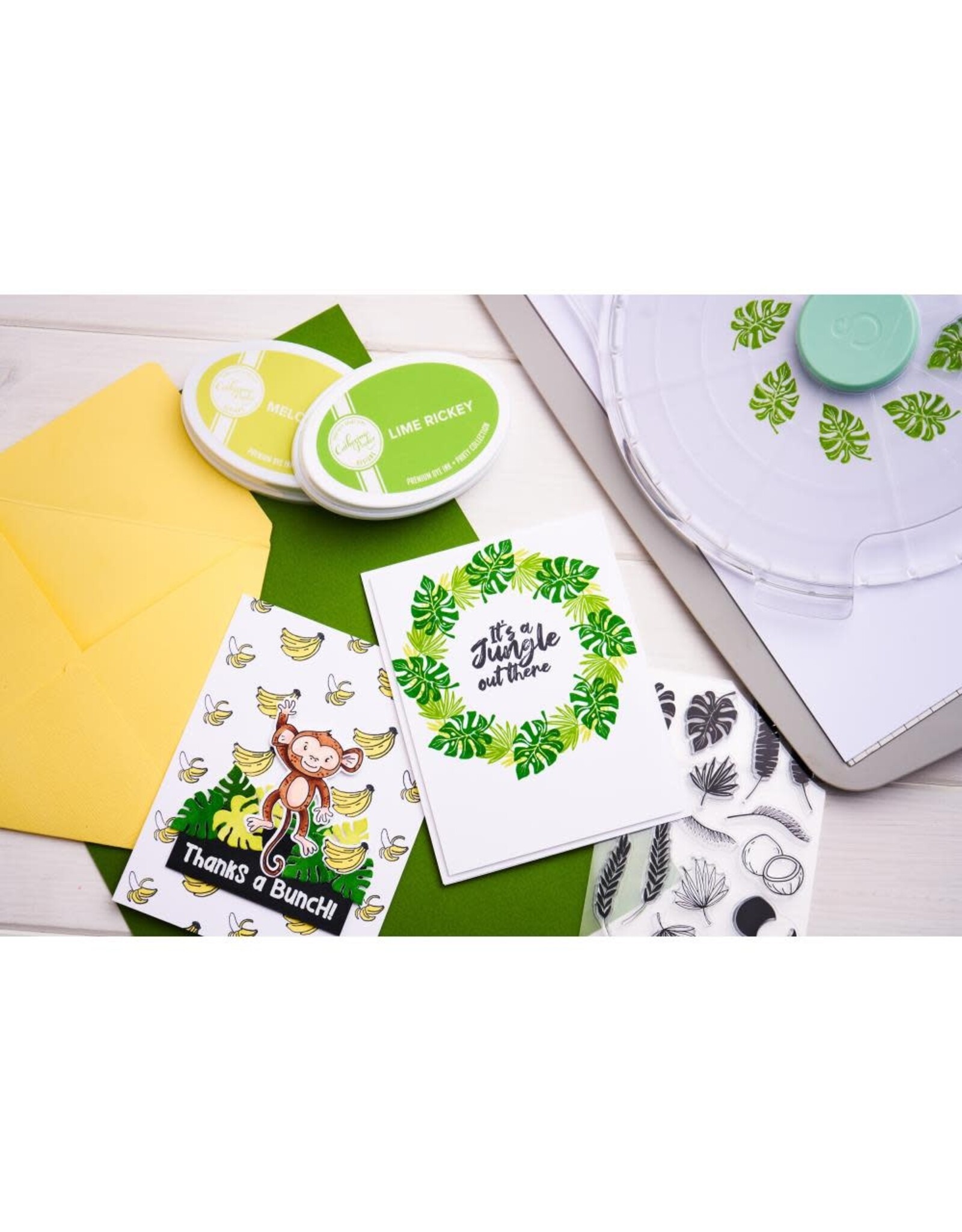 SIZZIX SIZZIX CATHERINE POOLER DESIGNS STAY WILD CLEAR STAMP SET