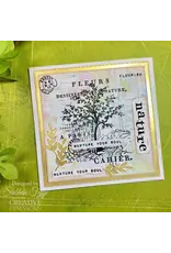 CREATIVE EXPRESSIONS CREATIVE EXPRESSIONS SAM POOLE NATURE 4x6 CLEAR STAMP SET