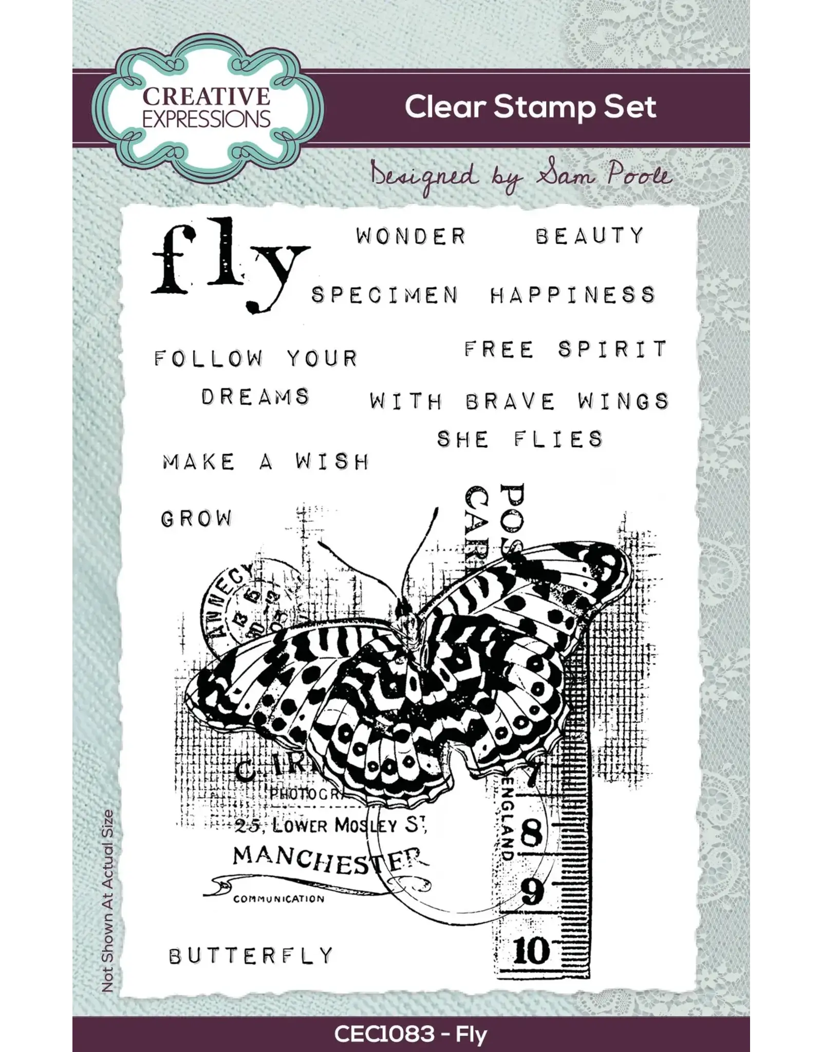 CREATIVE EXPRESSIONS CREATIVE EXPRESSIONS SAM POOLE FLY 4x6 CLEAR STAMP SET