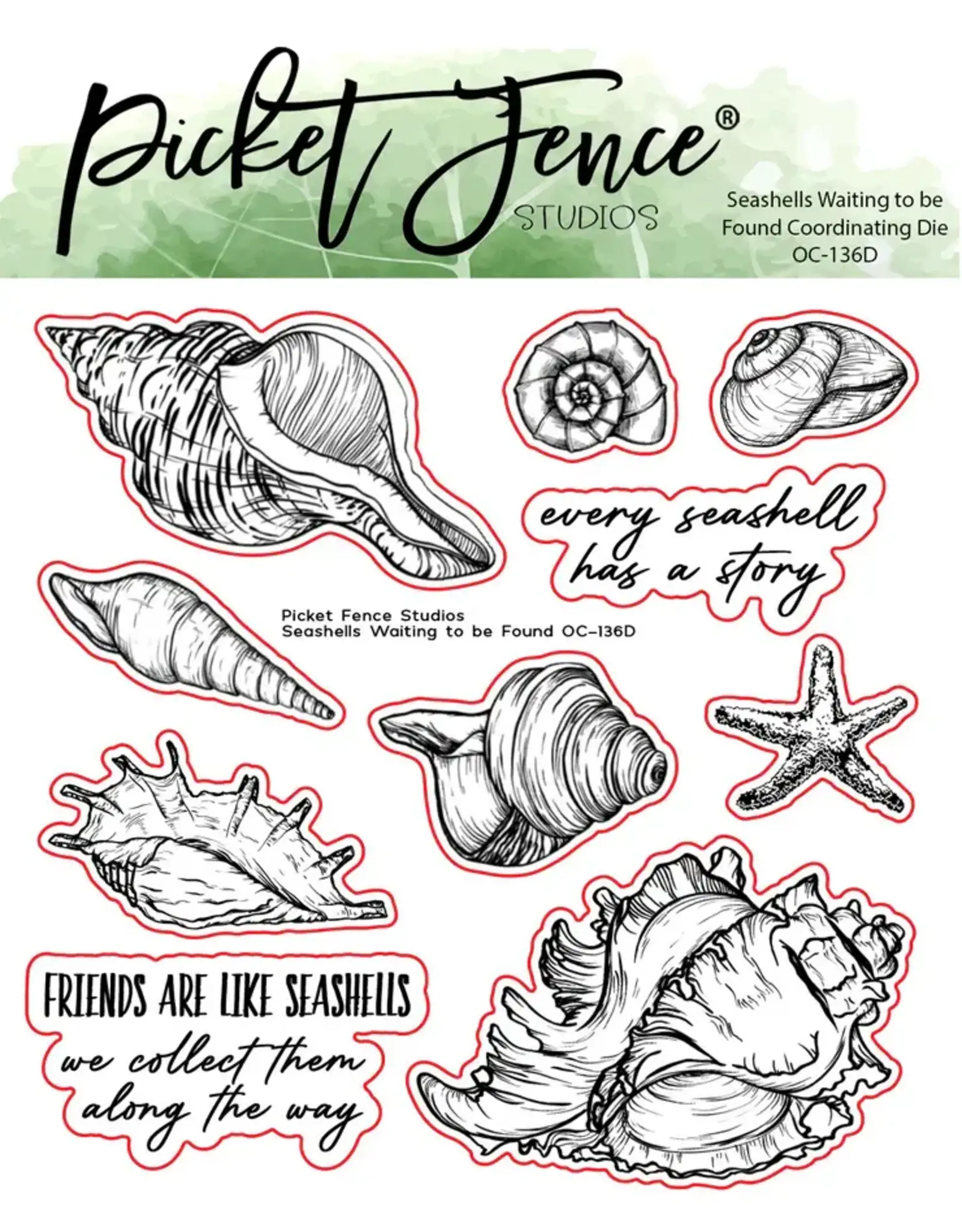 PICKET FENCE PICKET FENCE STUDIOS SEASHELLS WAITING TO BE FOUND COORDINATING DIE SET