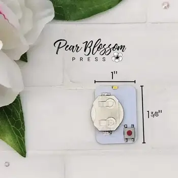 PEAR BLOSSOM PRESS PEAR BLOSSOM PRESS EZ-LIGHT ALL-IN-ONE 1 LIGHT 5/PK