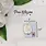 PEAR BLOSSOM PRESS PEAR BLOSSOM PRESS EZ-LIGHT ALL-IN-ONE 1 LIGHT 5/PK