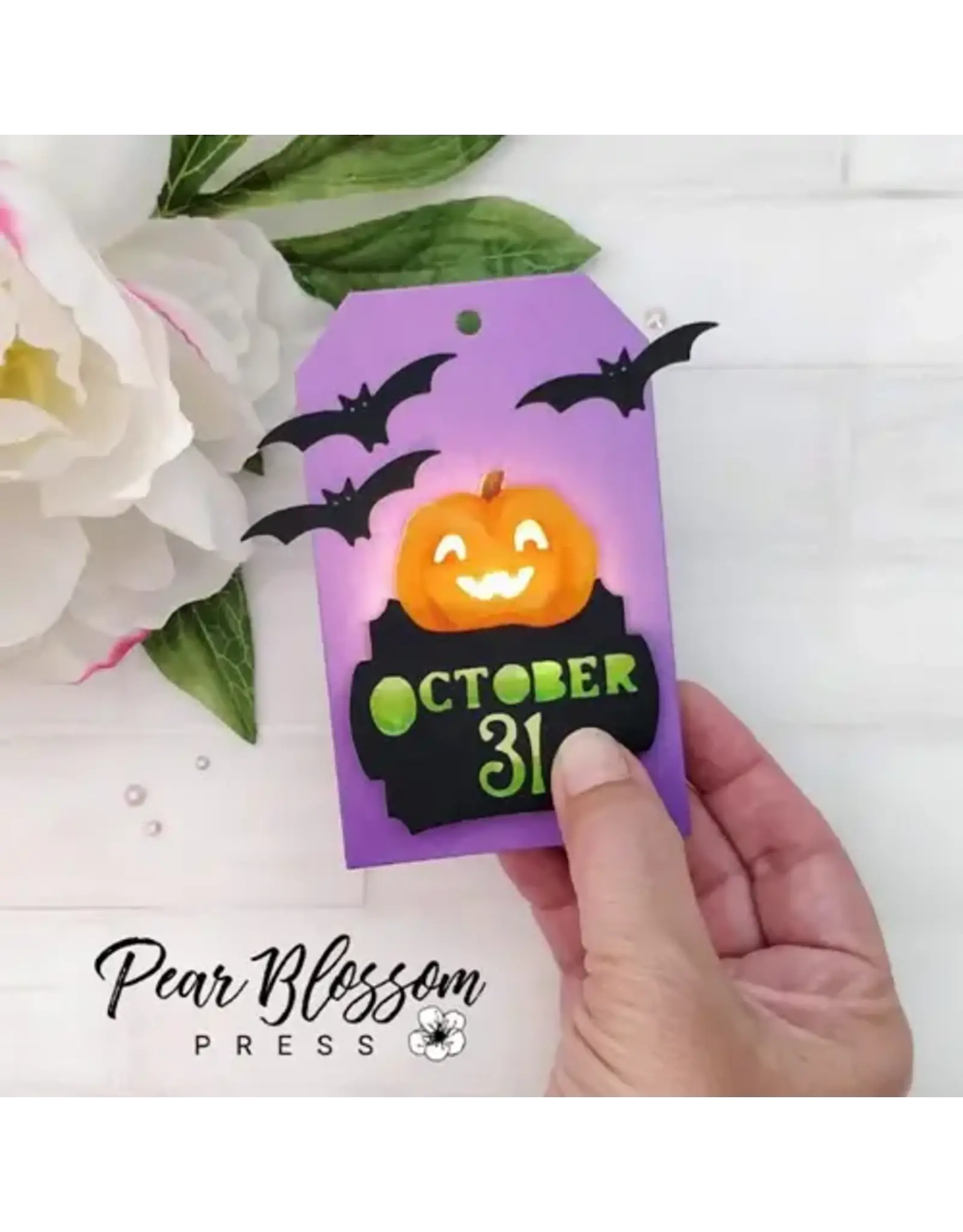 PEAR BLOSSOM PRESS PEAR BLOSSOM PRESS EZ-LIGHT ALL-IN-ONE 1 LIGHT 5/PK