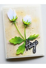 MEMORY BOX MEMORY BOX HUGS DEBUT SCRIPT DIE SET
