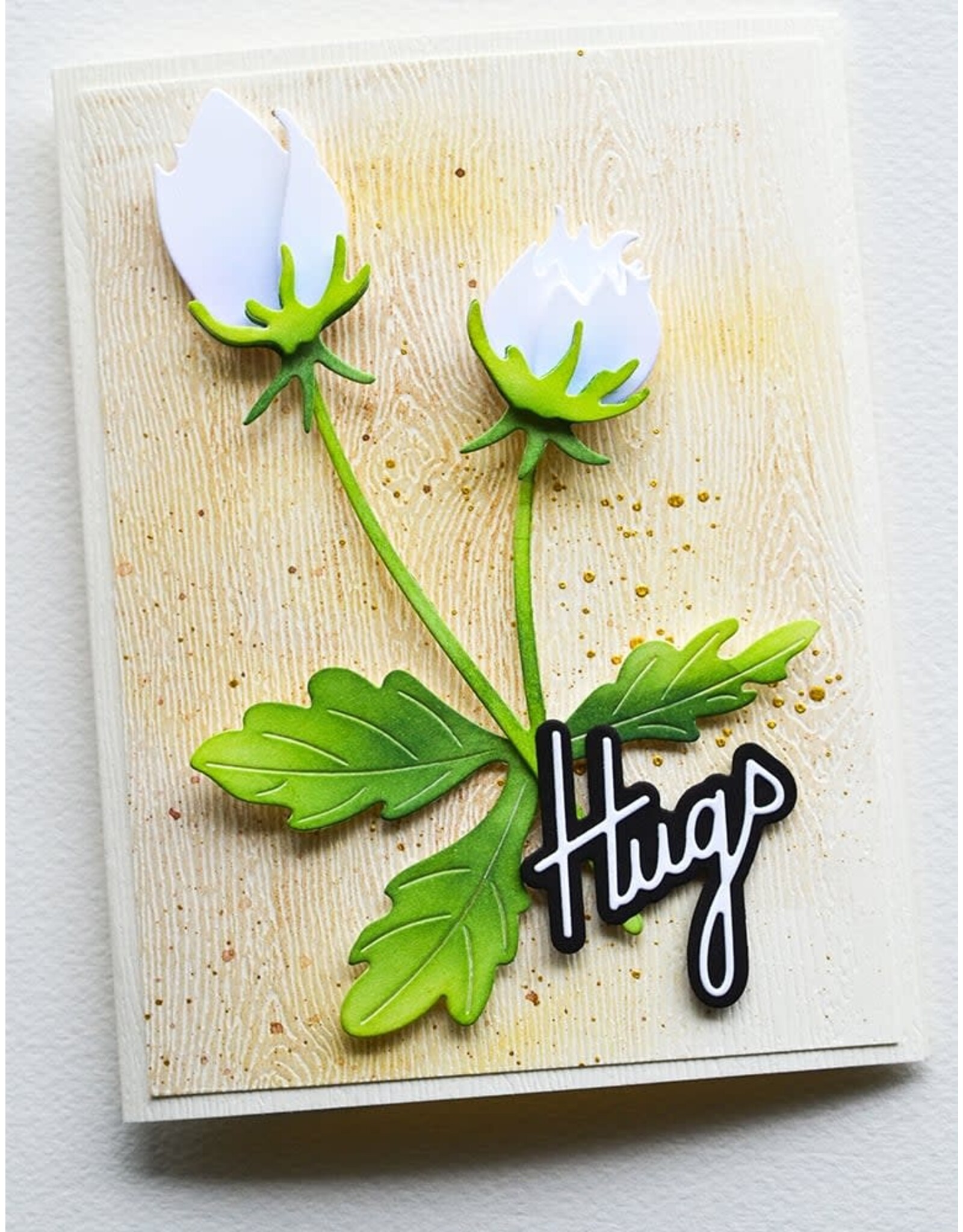 MEMORY BOX MEMORY BOX HUGS DEBUT SCRIPT DIE SET