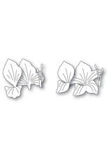 MEMORY BOX MEMORY BOX GLADIOLA FLORAL DUO DIE SET