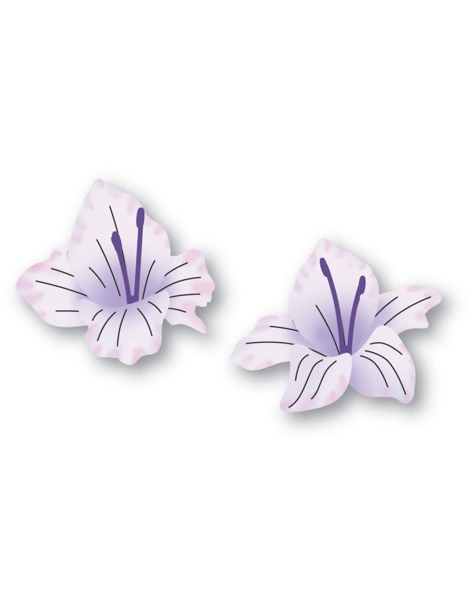 MEMORY BOX MEMORY BOX GLADIOLA FLORAL DUO DIE SET