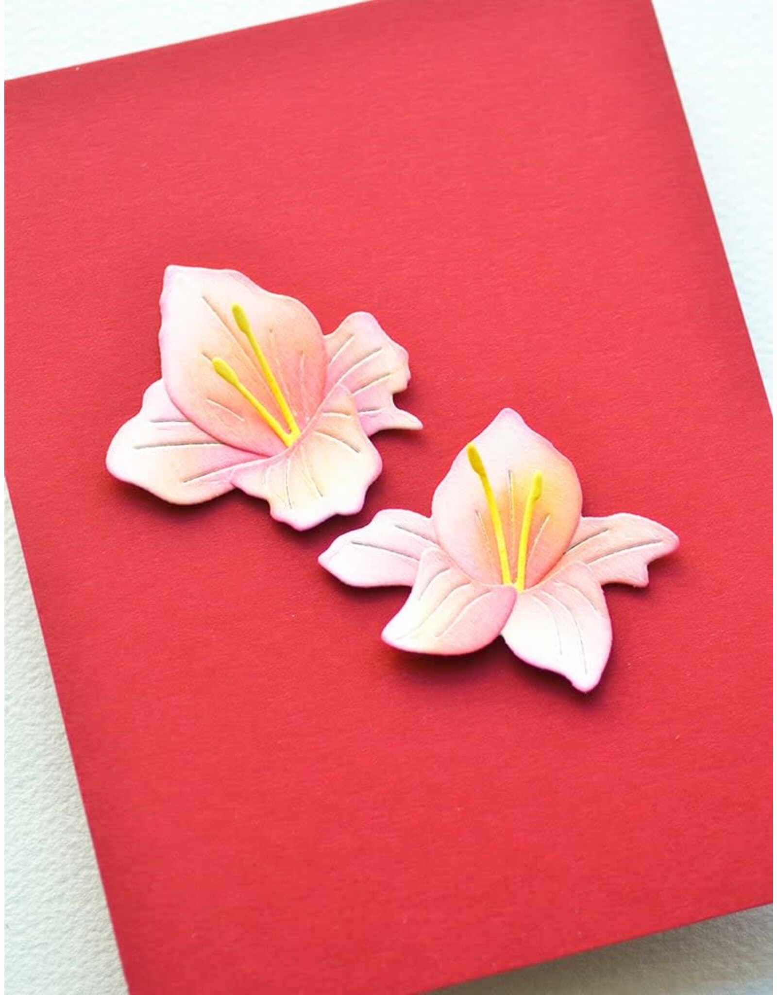 MEMORY BOX MEMORY BOX GLADIOLA FLORAL DUO DIE SET