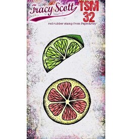 PAPER ARTSY PAPER ARTSY TRACY SCOTT TSM32 MINI CLING STAMP SET