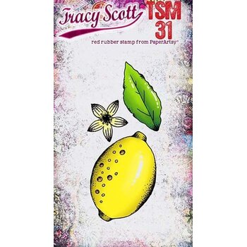 PAPER ARTSY PAPER ARTSY TRACY SCOTT TSM31 MINI CLING STAMP SET