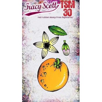 PAPER ARTSY PAPER ARTSY TRACY SCOTT TSM30 MINI CLING STAMP SET
